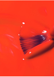 Desire