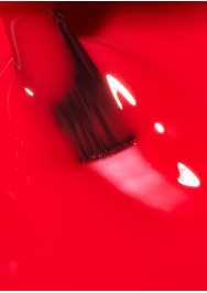 Santa Monica
